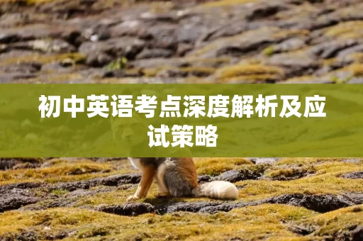 初中英语考点深度解析及应试策略