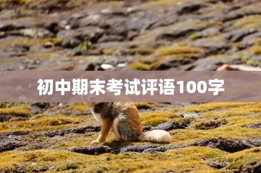 初中期末考试评语100字