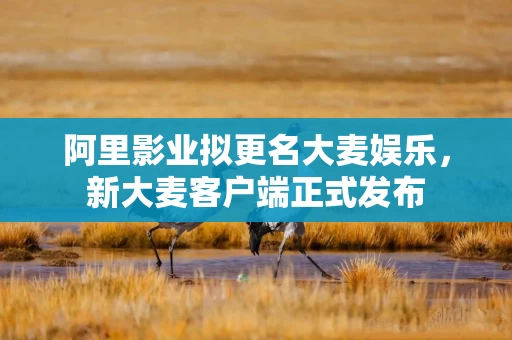 阿里影业拟更名大麦娱乐，新大麦客户端正式发布