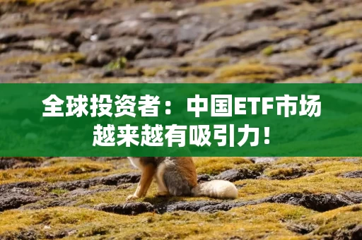 全球投资者：中国ETF市场越来越有吸引力！