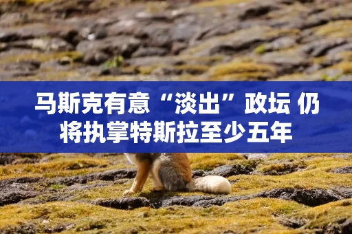 马斯克有意“淡出”政坛 仍将执掌特斯拉至少五年