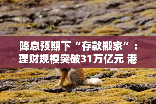 降息预期下“存款搬家”：理财规模突破31万亿元 港股等权益策略增加