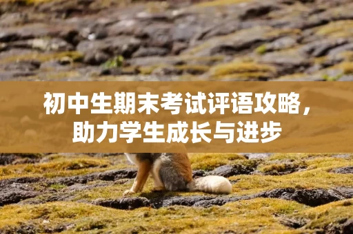 初中生期末考试评语攻略，助力学生成长与进步