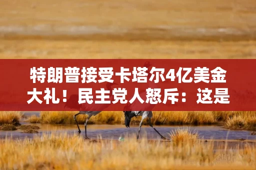 特朗普接受卡塔尔4亿美金大礼！民主党人怒斥：这是“贿赂”