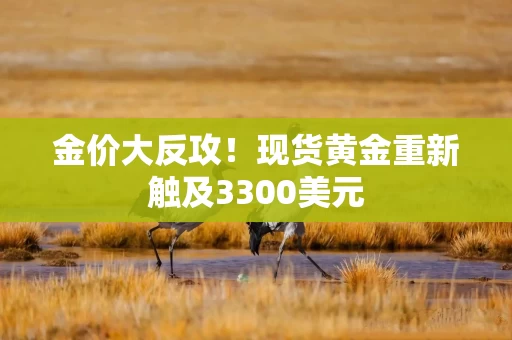 金价大反攻！现货黄金重新触及3300美元
