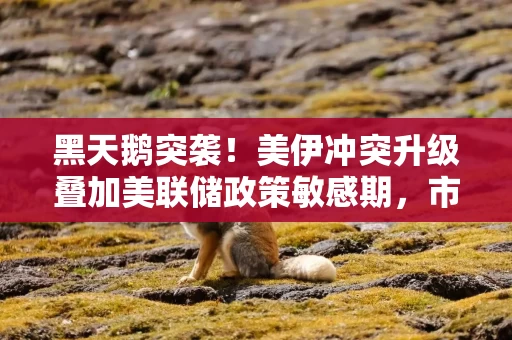 黑天鹅突袭！美伊冲突升级叠加美联储政策敏感期，市场迎多重考验
