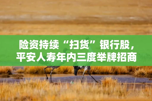 险资持续“扫货”银行股，平安人寿年内三度举牌招商银行H股