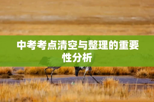 中考考点清空与整理的重要性分析