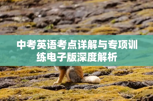 中考英语考点详解与专项训练电子版深度解析