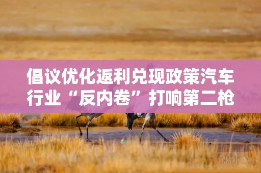 倡议优化返利兑现政策汽车行业“反内卷”打响第二枪