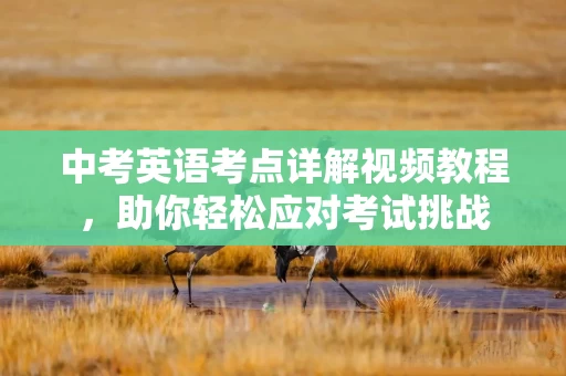 中考英语考点详解视频教程，助你轻松应对考试挑战