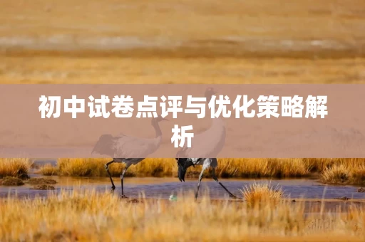 初中试卷点评与优化策略解析