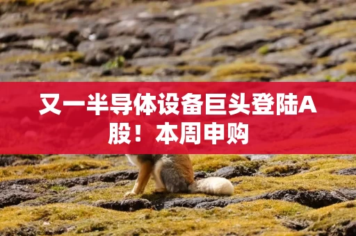 又一半导体设备巨头登陆A股！本周申购