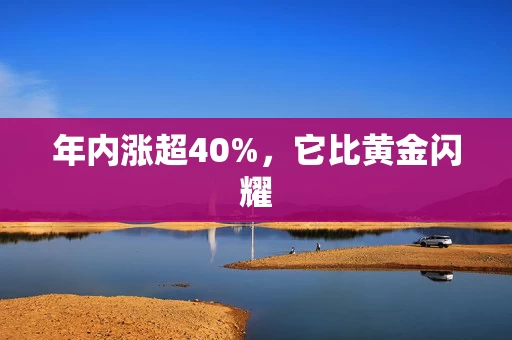 年内涨超40%，它比黄金闪耀