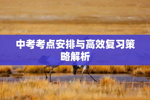 中考考点安排与高效复习策略解析
