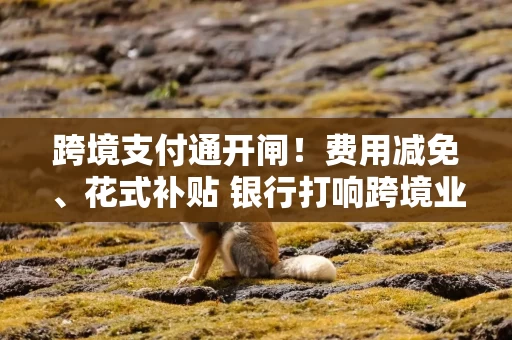 跨境支付通开闸！费用减免、花式补贴 银行打响跨境业务抢滩战