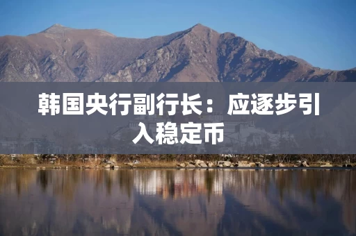 韩国央行副行长：应逐步引入稳定币