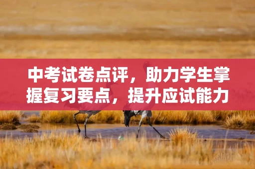 中考试卷点评，助力学生掌握复习要点，提升应试能力