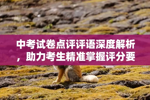 中考试卷点评评语深度解析，助力考生精准掌握评分要点