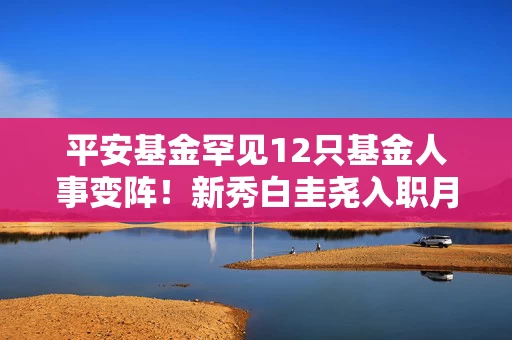 平安基金罕见12只基金人事变阵！新秀白圭尧入职月余掌舵9只基金，钱晶卸任3只基金