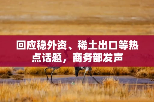 回应稳外资、稀土出口等热点话题，商务部发声