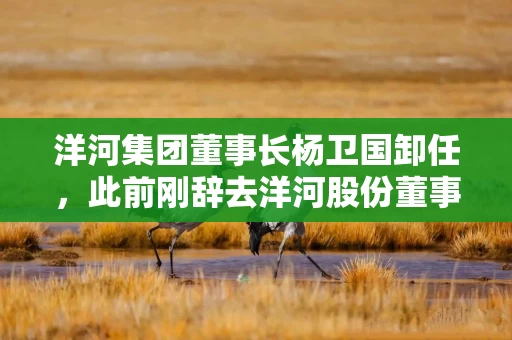 洋河集团董事长杨卫国卸任，此前刚辞去洋河股份董事