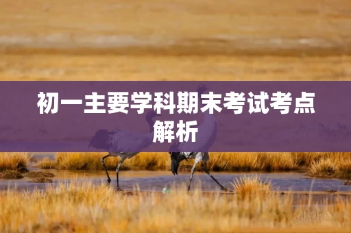 初一主要学科期末考试考点解析