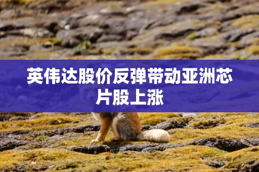英伟达股价反弹带动亚洲芯片股上涨