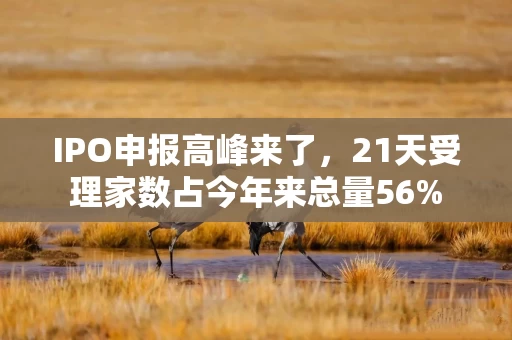 IPO申报高峰来了，21天受理家数占今年来总量56%