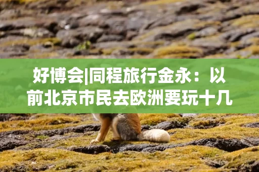 好博会|同程旅行金永：以前北京市民去欧洲要玩十几个国家，现在就选一两个