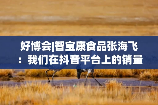 好博会|智宝康食品张海飞：我们在抖音平台上的销量相当可以