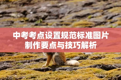 中考考点设置规范标准图片制作要点与技巧解析