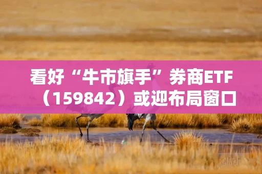 看好“牛市旗手”券商ETF（159842）或迎布局窗口