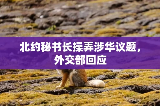 北约秘书长操弄涉华议题，外交部回应