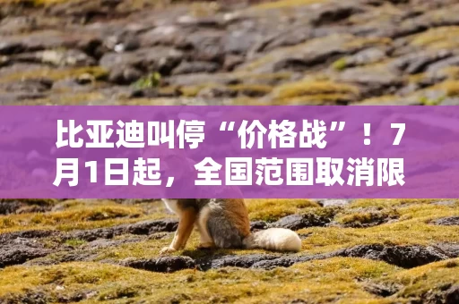 比亚迪叫停“价格战”！7月1日起，全国范围取消限时“一口价”政策