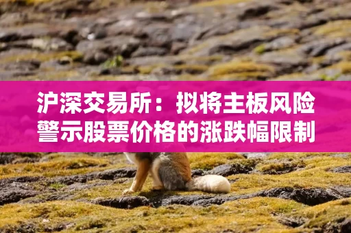 沪深交易所：拟将主板风险警示股票价格的涨跌幅限制比例由5%调整为10%