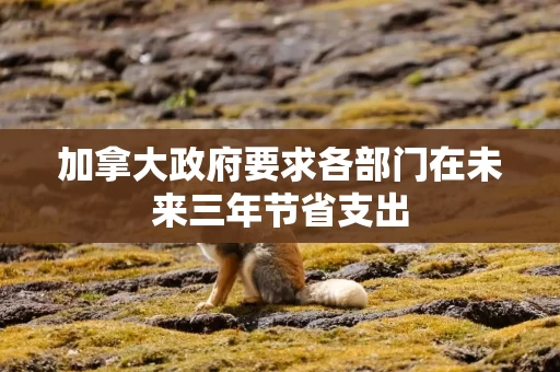 加拿大政府要求各部门在未来三年节省支出