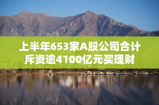 上半年653家A股公司合计斥资逾4100亿元买理财