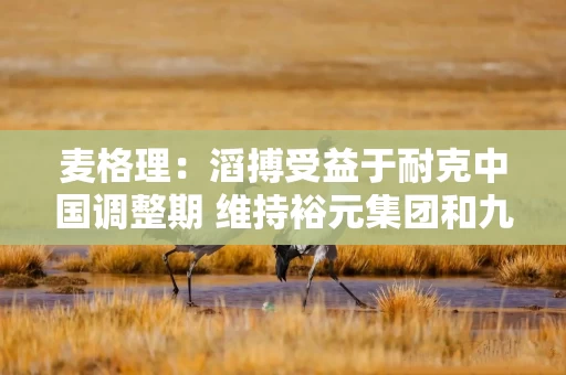 麦格理：滔搏受益于耐克中国调整期 维持裕元集团和九兴控股跑输