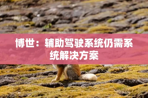 博世：辅助驾驶系统仍需系统解决方案