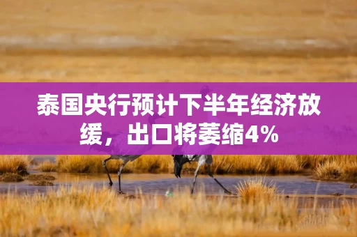 泰国央行预计下半年经济放缓，出口将萎缩4%