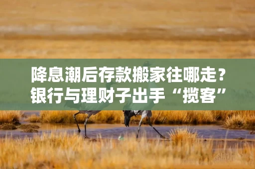 降息潮后存款搬家往哪走？银行与理财子出手“揽客”，纷纷升级现金管理类产品