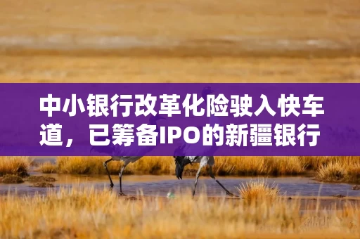 中小银行改革化险驶入快车道，已筹备IPO的新疆银行将吸收合并汇和银行