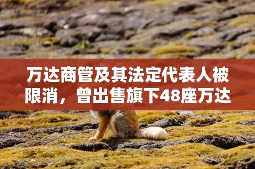 万达商管及其法定代表人被限消，曾出售旗下48座万达广场