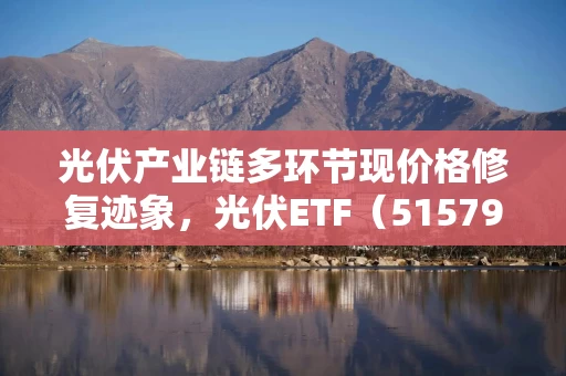 光伏产业链多环节现价格修复迹象，光伏ETF（515790）最新份额超169亿份创历史新高