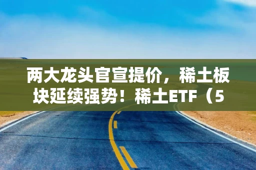 两大龙头官宣提价，稀土板块延续强势！稀土ETF（516780）日成交额创年内新高