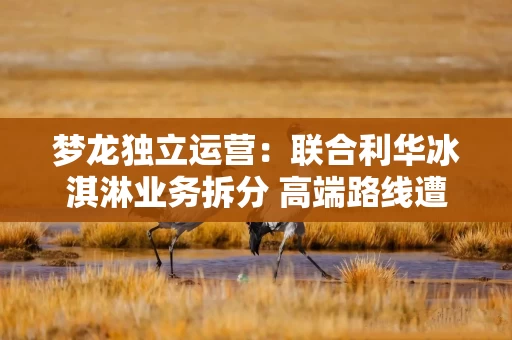 梦龙独立运营：联合利华冰淇淋业务拆分 高端路线遭遇本土品牌冲击
