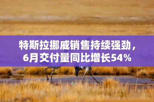 特斯拉挪威销售持续强劲，6月交付量同比增长54%