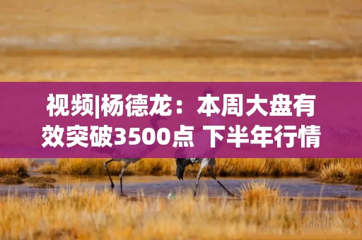 视频|杨德龙：本周大盘有效突破3500点 下半年行情有望超出很多人预期