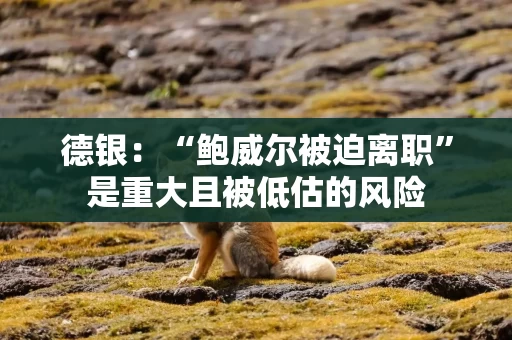 德银：“鲍威尔被迫离职”是重大且被低估的风险